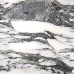 Grey Marbling Cochlear Nucleus 6 Skin